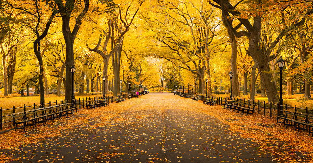 Things to do in NYC in October 2020 | New York Latin Culture Magazine