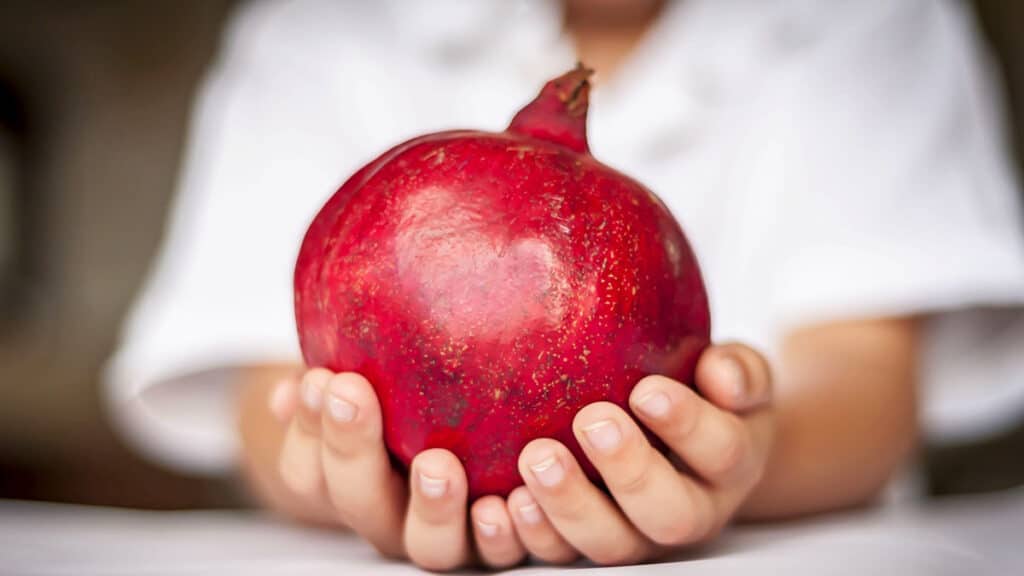 Rosh Hashanah in New York City (Roman Yanushevsky/Adobe)