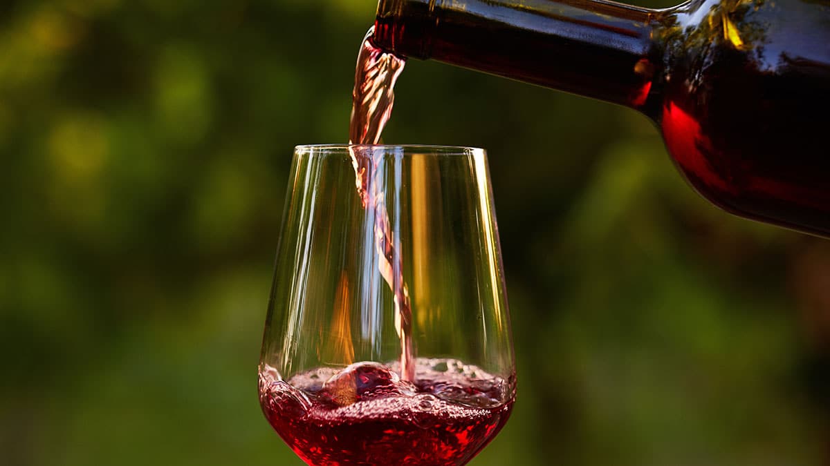 Beaujolais Nouveau Day is the Release of This Season's First Wine